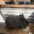 Silver Fox Rabbits - Accepting Reservations for Spring!! 12 thumbnail