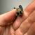 2000 Year Old Bronze Age Ancient Indo Persian Luristan Sword Handle Pi 4 thumbnail