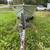 15 foot aluminum boat with trailer 2 thumbnail