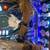 americas most haunted pinball 3 thumbnail