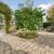 20998 Chester Street For Sale 21 thumbnail