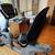 R2250 workout recumbent bike 5 thumbnail