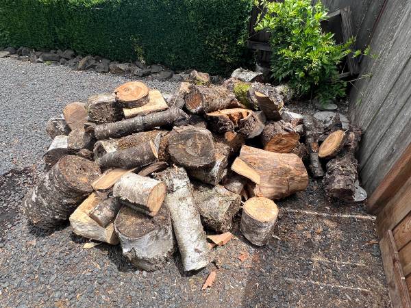 Firewood 1