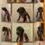 Great Dane Mastiffs 1 thumbnail