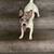 11 month old pup 9 thumbnail