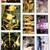 Vintage 1996 Star Wars Collectible Sticker Set & Story Album Skybox 4 thumbnail