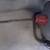 Electric Eel 3 thumbnail