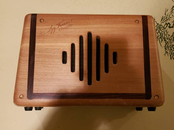 Jay Turser Classic 10 Guitar Amp Portable Great sound exc 1