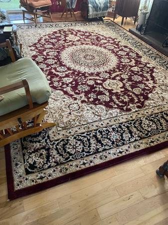 Oriental rug 1