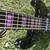 Fender Squier Deluxe Jazz Bass V Active 5-string - customized! 8 thumbnail
