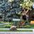 West Rogers Park Five Bedroom/Two Bath Duplex 15 thumbnail
