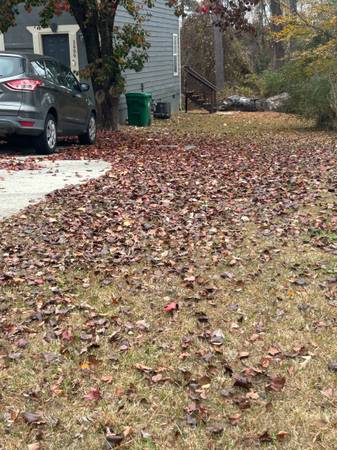 FALL LEAVES CLEANUPS🍃 {OVERGROWN/CLEANUP}JUNK REMOVAL 1