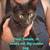 8, 9, 14 week old kittens $20 20 thumbnail