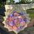 Florist 2 thumbnail