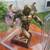 RARE BRONZE SUPERMAN STATUE/FIGURE 5LBS IN PLEXIGLASS CASE IN NORWALK 2 thumbnail