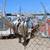 Monthly RV Hookups in Bombay Beach 1 thumbnail