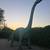 Rentals - Party - Events - Venues - Photo Shoots - Props - dinosaur Re 3 thumbnail