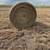 Huge round bales 1 thumbnail