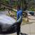 Car detail 5 thumbnail