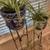 Plant Stands 2 thumbnail