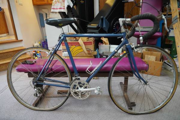 Woman's Trek 10 Speed 1