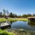 Gorgeous Horse Property - REDUCED! 19 thumbnail