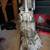 Tremec T-45 transmission 2 thumbnail
