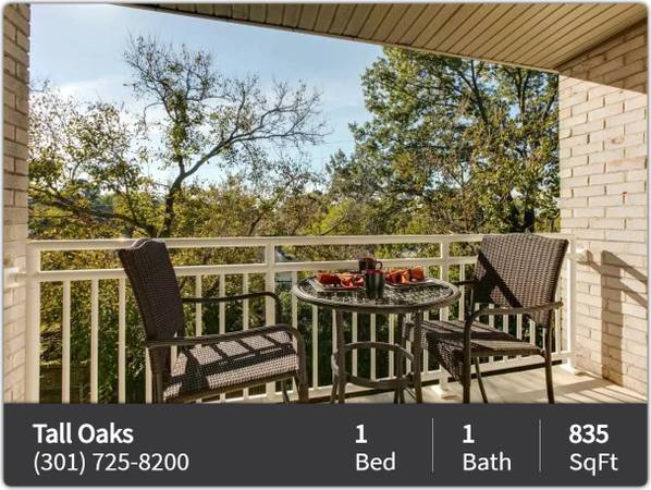 $1,630 / 1br - 835ft2 - The heart of modern living beats here: Dive into our 1 BR. (Laurel)63896033913219122
