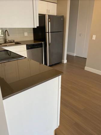 $2,750 / 1br - 900ft2 - Beautiful 1 bed in Lincoln Park with a Balcony! (Lincoln Park)63781631158531121