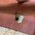 Rare Dansk Folding End Tables Teak 7 thumbnail