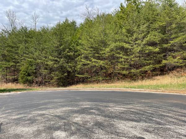 $175,000 GATED COMMUNITY- 2 ACRES WITH LAKE VIEWS (Madisonville)63815667721347123