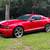 Mustang 3 thumbnail