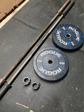 Rogue bars & plates 1