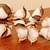 12 Cotton Boll Stem Spray Branch Country Farmhouse Decor 28" New Flowe 5 thumbnail