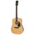 Epiphone FT-100 Acoustic Guitar -NEW IN BOX 3 thumbnail