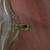 MCM Vintage Italian Green Retro Beverage Dispenser 8 thumbnail