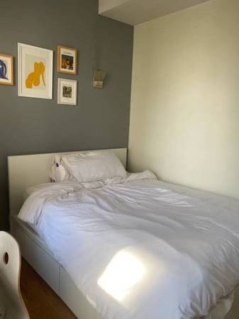 $900 / 3br - 1535ft2 - Room with private balcony avail (Williamsburg)63912047207682121