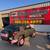 2008 Toyota FJ Rhino Linings Full Body Spray 9 thumbnail