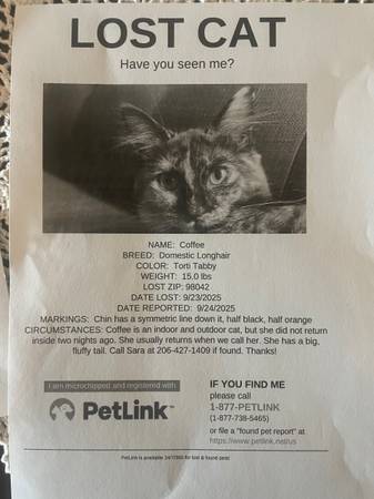 My little cousin lost her cat! (Kent)63853558667905120