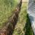SPRING CLEANUP / YARD WORK 7 thumbnail