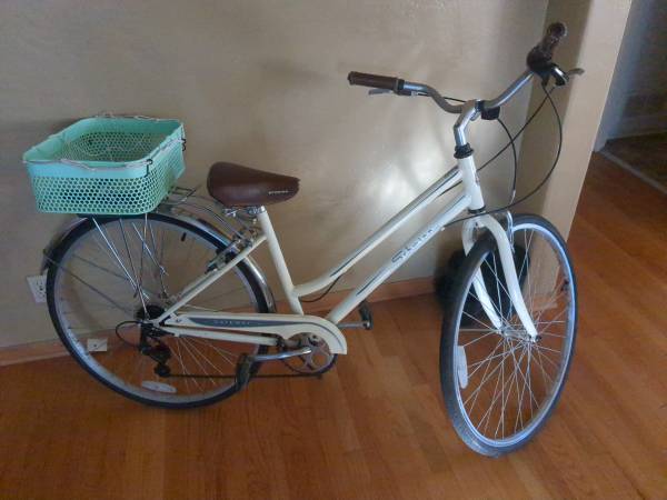 Classic Schwinn 1