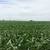 Starved Rock - 5-Acre+ lots 7 thumbnail