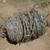 Partial Roll Barb wire 2 barbed 1 thumbnail