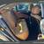 2014 Lexus LS, LS 460 AWD 55K Miles 11 thumbnail