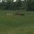 First Cutting Small Square Hay 3 thumbnail