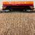 LIONEL (LCCA )  SOUTHERN PACIFIC COVERED GONDOLA 1 thumbnail