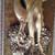 HUGE VINTAGE WOMAN DEER SCULPTURE GREEK GODDESS ARTEMIS FRAMED RARE 3 thumbnail