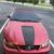 2001 Ford Mustang 3 thumbnail