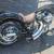 PIT BULL CUSTOM BUILD  ( JACKS REBELS) 12 thumbnail