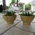 Pair Of Yellow Gold With Brown Garden Pots With Succulents 1 thumbnail